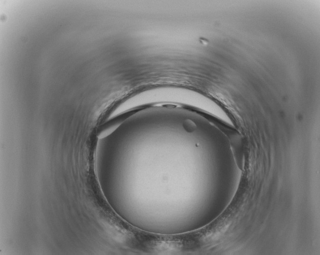 X0000088600303200706011209