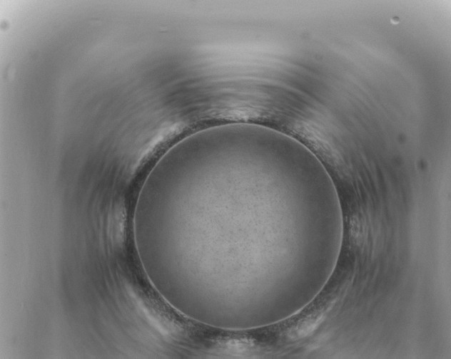 X0000088600304200706011209