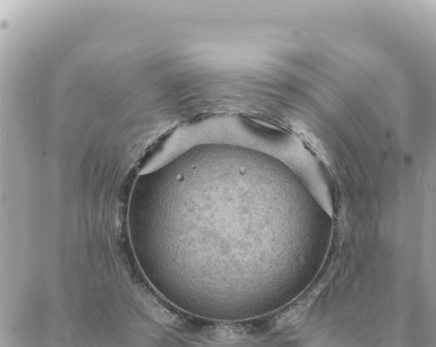 X0000088600305200706011209