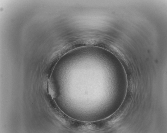 X0000088600307200706011209