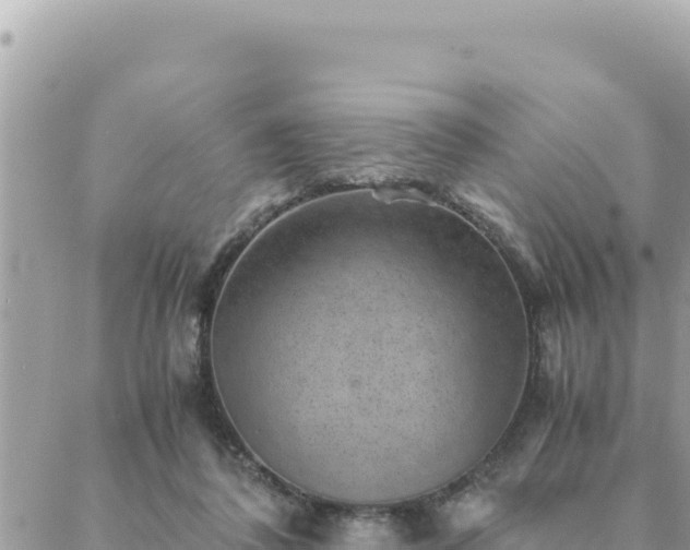 X0000088600308200706011209