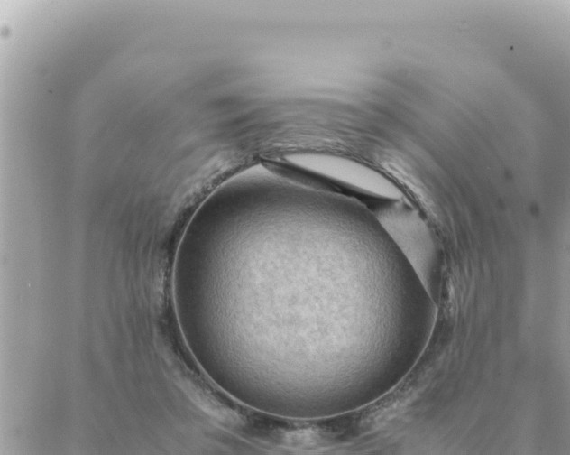 X0000088600309200706011209