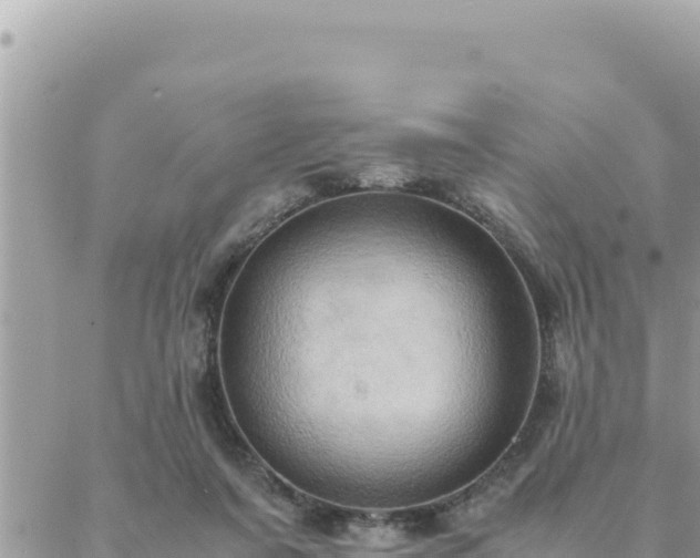 X0000088600311200706011209