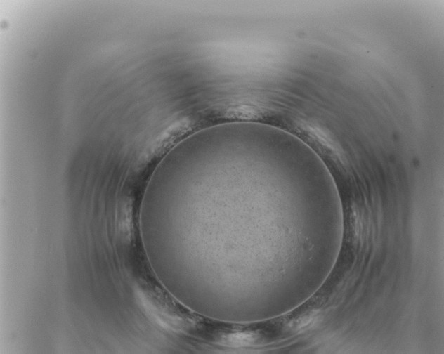 X0000088600312200706011209