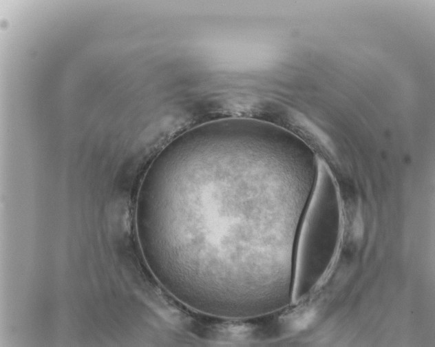 X0000088600313200706011209