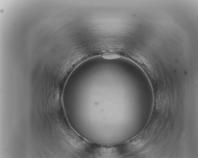 X0000088600314200706011209