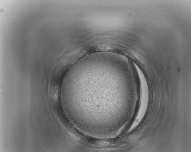 X0000088600315200706011209