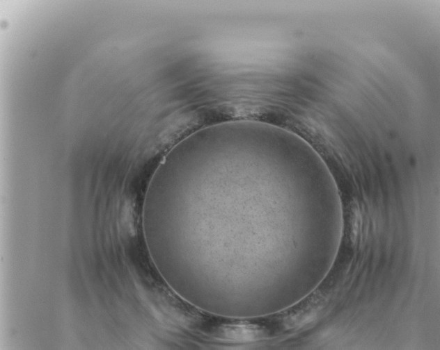 X0000088600316200706011209