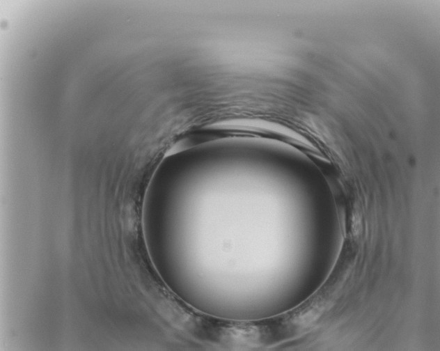 X0000088600317200706011209