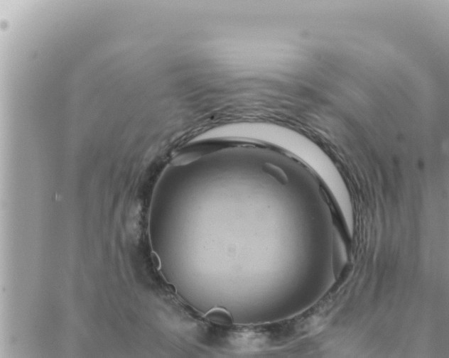 X0000088600319200706011209