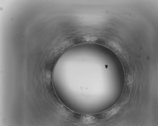 X0000088600321200706011209