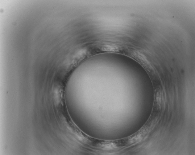 X0000088600322200706011209