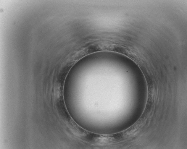 X0000088600323200706011209