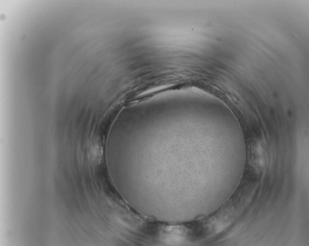 X0000088600324200706011209