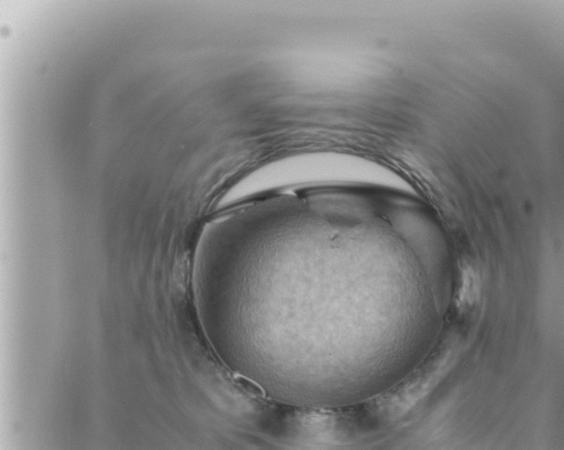 X0000088600325200706011209