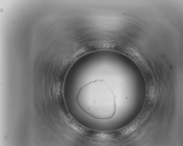 X0000088600326200706011209