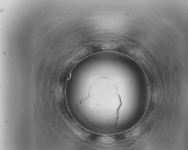 X0000088600327200706011209