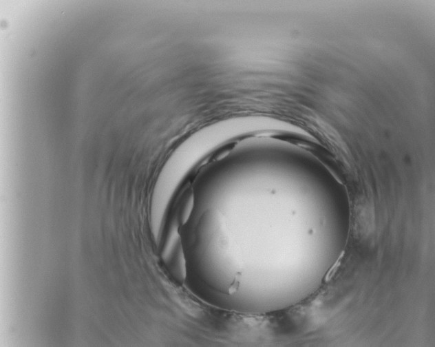 X0000088600329200706011209