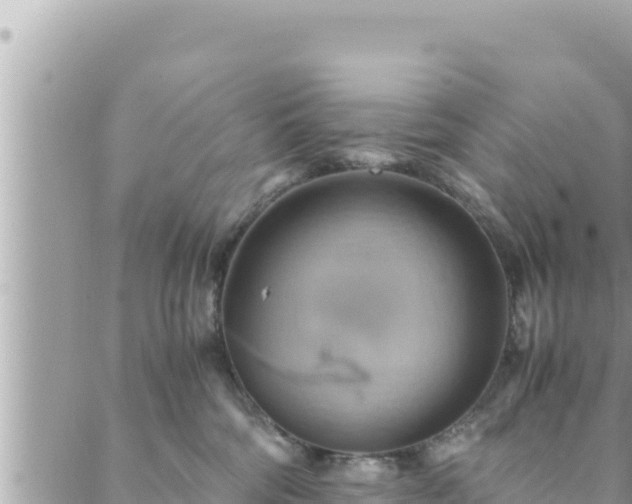 X0000088600330200706011209