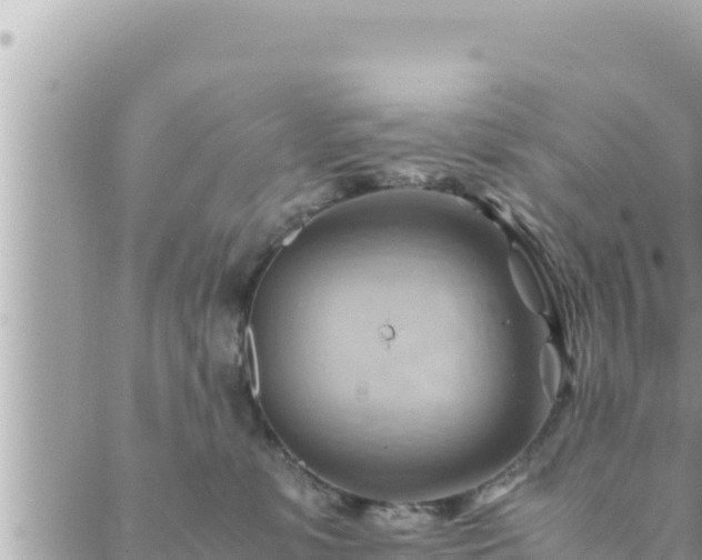 X0000088600331200706011209