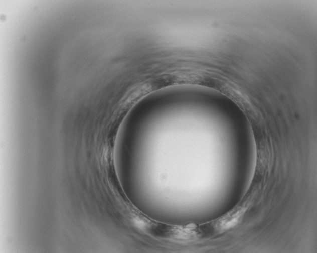 X0000088600333200706011209