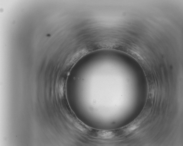 X0000088600334200706011209