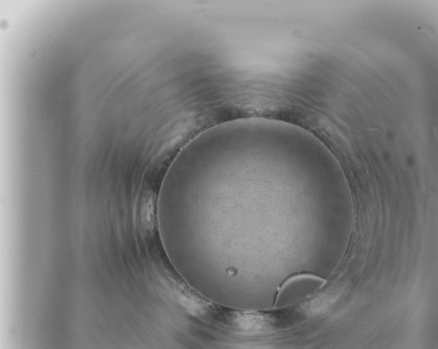 X0000088600336200706011209