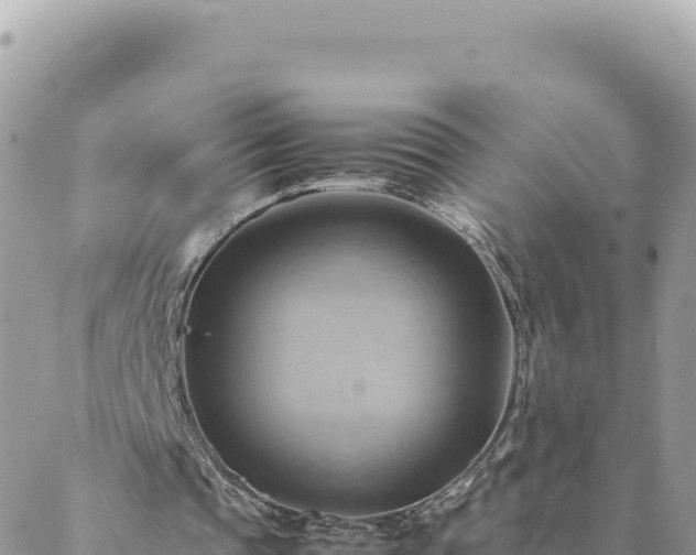 X0000088600337200706011208