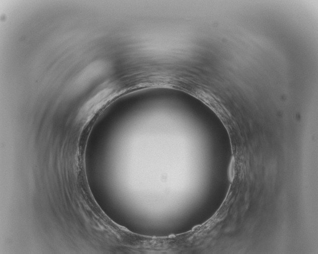 X0000088600338200706011208