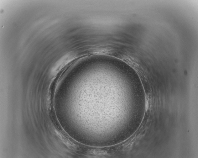 X0000088600339200706011208