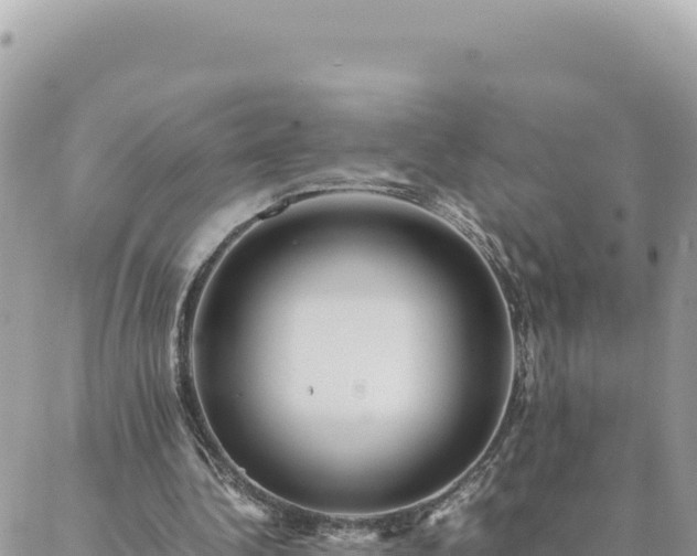 X0000088600340200706011208