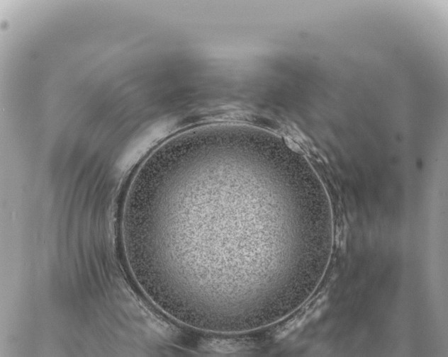 X0000088600341200706011208