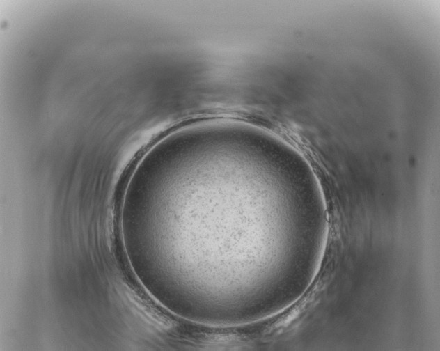 X0000088600342200706011208