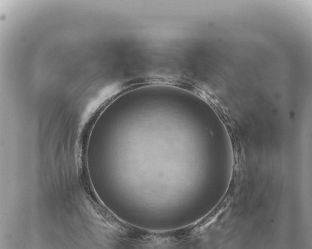 X0000088600343200706011208