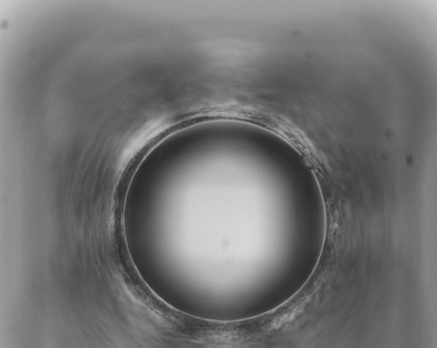 X0000088600344200706011208