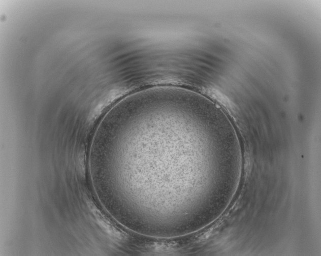 X0000088600345200706011208