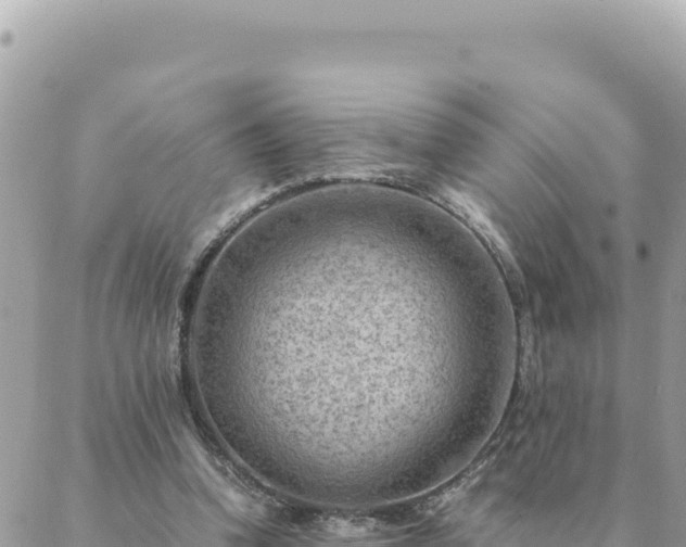 X0000088600346200706011208