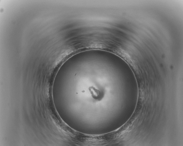 X0000088600347200706011208