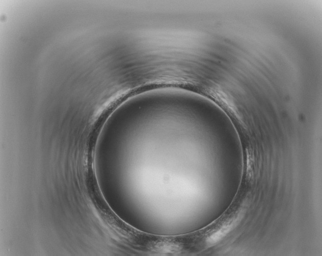 X0000088600348200706011208