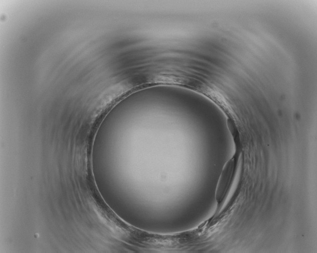 X0000088600349200706011208