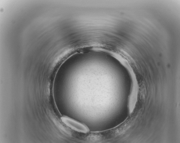 X0000088600350200706011208