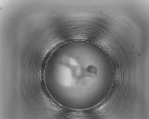 X0000088600351200706011208