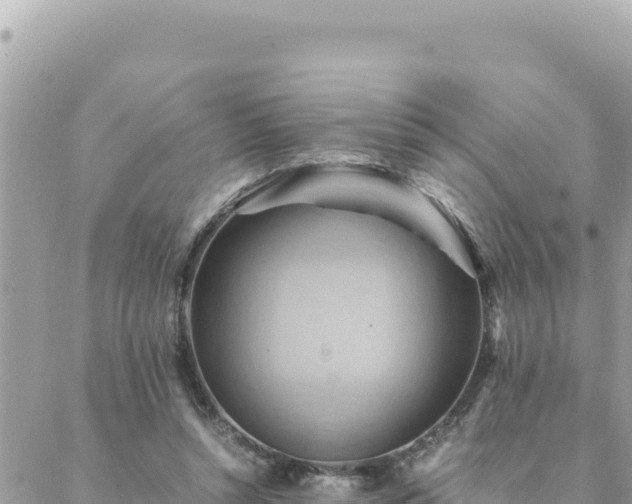 X0000088600352200706011208