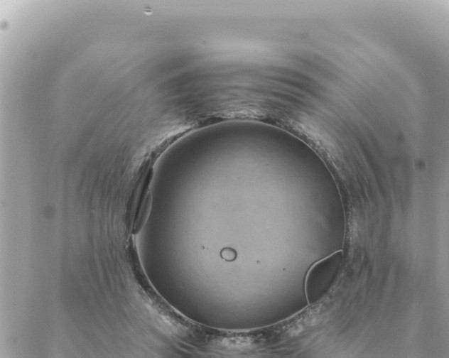 X0000088600353200706011208