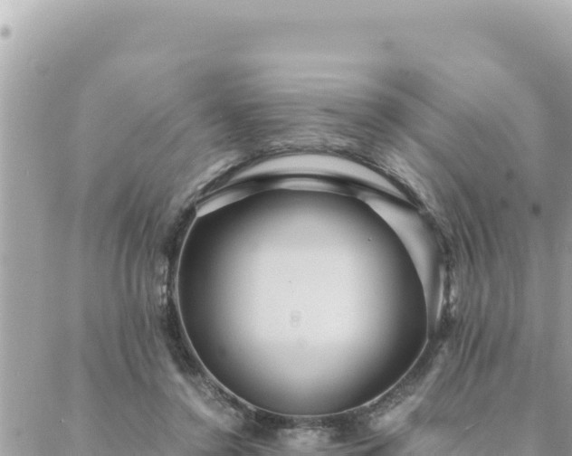 X0000088600356200706011208