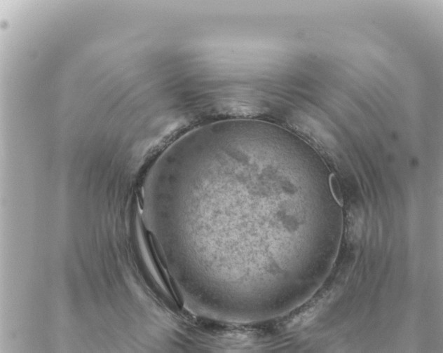 X0000088600358200706011208