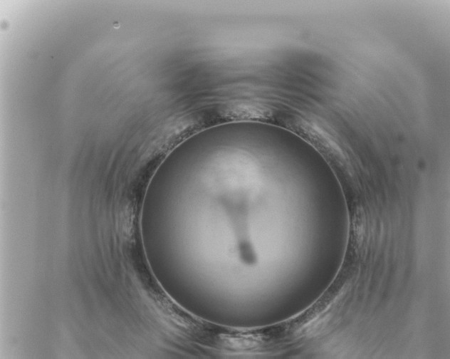 X0000088600359200706011208