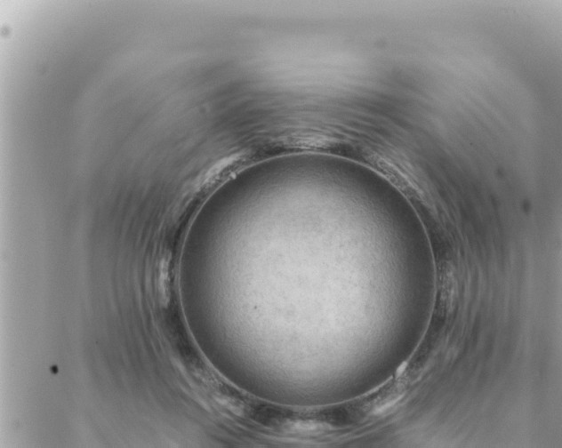 X0000088600360200706011208