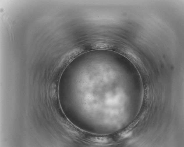 X0000088600361200706011208