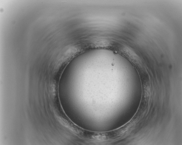 X0000088600362200706011208